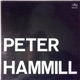 Peter Hammill - Peter Hammill